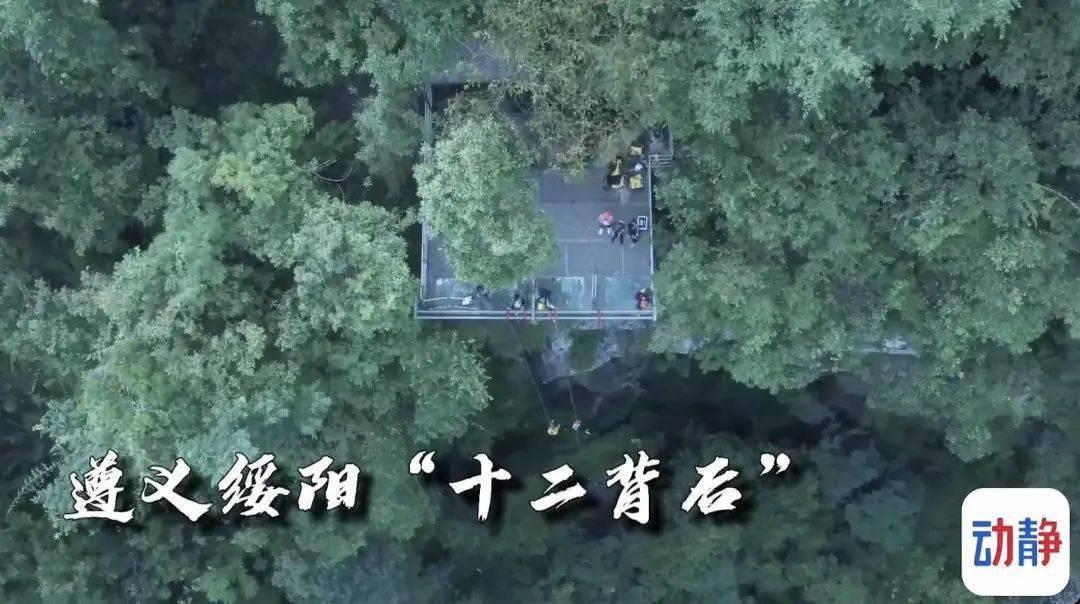 扶持中小成本电影创作,广东电影剧本研讨会在穗举办