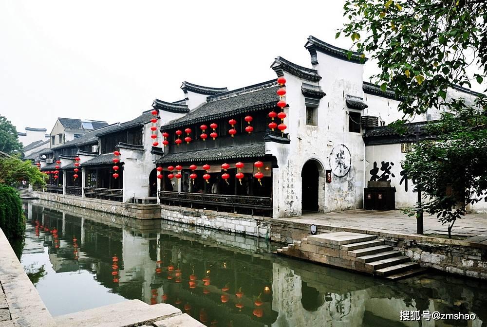 生菜新品种 “沪芊”育成